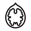 Walnut icon